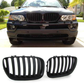 BMW X5 E53 2004 - 2006 PERFORMANCE LOOK MATTE BLACK FRONT KIDNEY GRILLES GRILLS