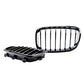 BMW F20 F21 11-15 carbon fibre look M performance front kidney grilles grills